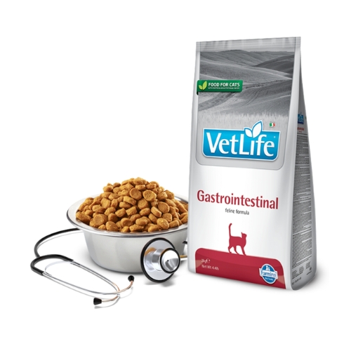 Farmina Adult Cat Vet Life Gastrointestinal 2 Kg Bag